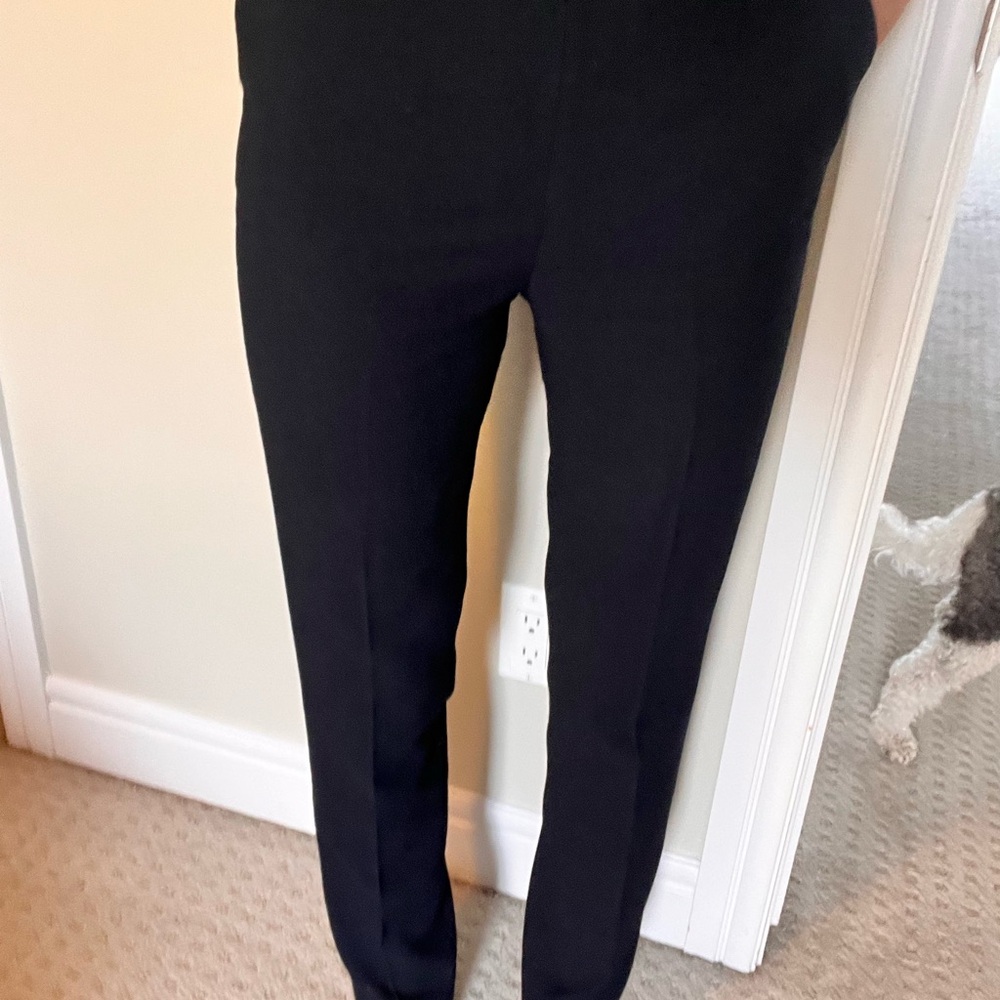 Hobbs Navy Women’s Dress Pant